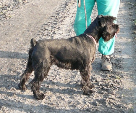 25.3.07 Brady a střecha 104.jpg